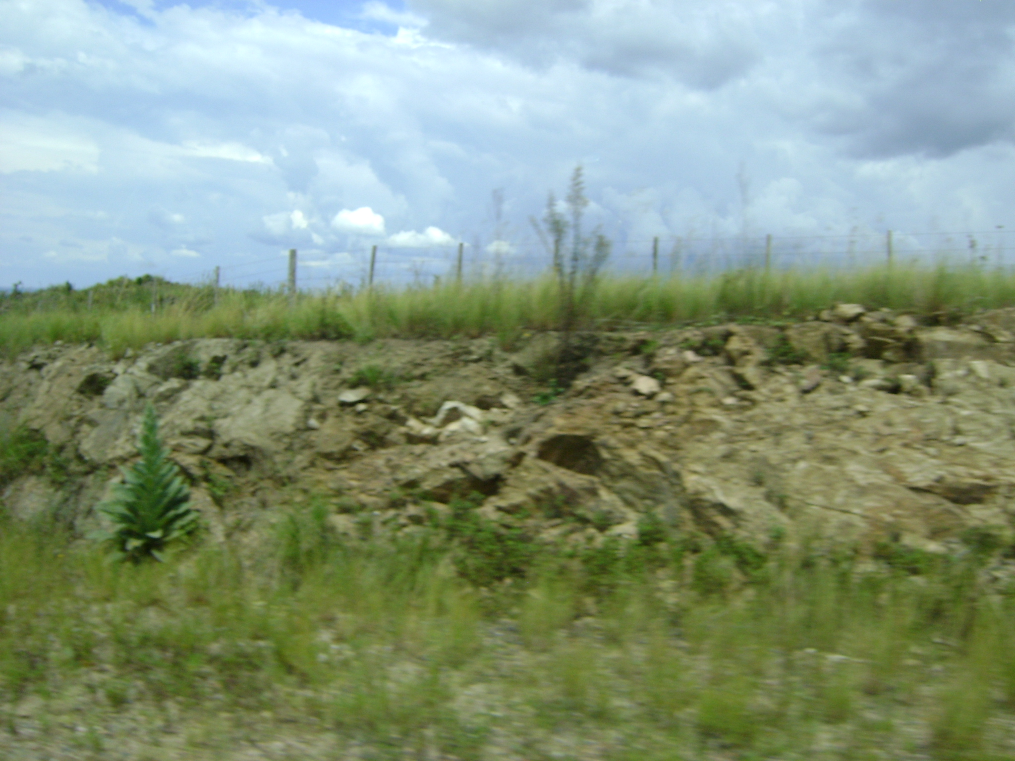 fotos/2011 - Los Reartes/DSC03446.JPG